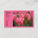 Recherche de tulipes roses cartes visite Jardinage