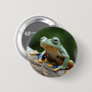 Recherche de grenouilles badges Toute personne