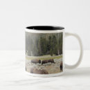 Recherche de bison tasses Pâturage