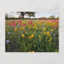 Recherche de bord de la route cartes postales Vert