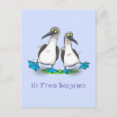 Recherche de îles galapagos cartes postales Oiseau