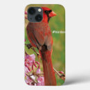 Recherche de cardinal du nord électronique Birding