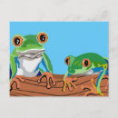 Recherche de petite grenouille cartes postales Drôle