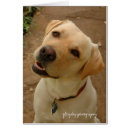 Recherche de le texas photographie Jaune