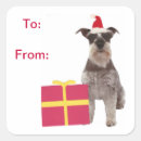 Recherche de chien de schnauzer autocollants Étiquettes