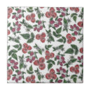 Recherche de framboise carreaux Illustration