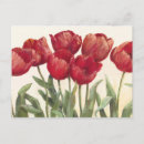 Recherche de tulipe rouge cartes postales Contemporain