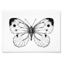 Recherche de illustration papillon posters Dessin