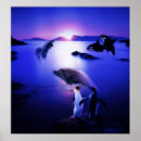 Zoek naar walvissen posters Orca