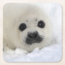 Zoek naar canada dag onderzetters Dier