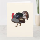 Recherche de dindes vœux cartes Oiseau