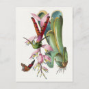 Recherche de illustration plume cartes postales Oiseau