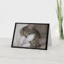 Zoek naar van kat kaarten Katachtig