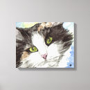 Zoek naar zwart witte katten kunst Zwarte en witte kat