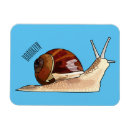 Recherche de escargots magnets Gastropode
