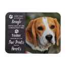 Recherche de perte de mémoire magnets Dans la mémoire aimante