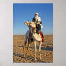 Zoek naar kamelen posters Fotografie