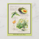 Zoek naar botanische illustratie briefkaarten Plant