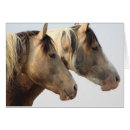 Zoek naar kudde briefkaarten Wilde paarden