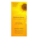 Recherche de jaune cartes publicitaires Orange