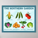 Zoek naar grappige aardappels posters Humor