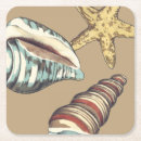 Zoek naar shells onderzetters Natuur