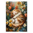 Zoek naar katje posters Dierenliefhebbers