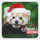 Recherche de panda noël autocollants Ours