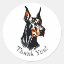 Recherche de pinscher autocollants Chiot