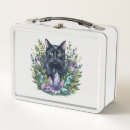 Zoek naar zwarte kat lunchboxen Magie