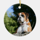 Zoek naar boxer dog ornamenten Rood en wit