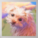 Recherche de chiots posters Pour animaux