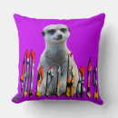 Recherche de suricates coussins Faune