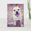 Zoek naar doggie kaarten Foto