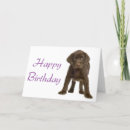 Recherche de laboratoire brun vœux cartes Dog
