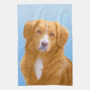 Recherche de petit chien cuisine linges Dog