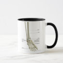 Recherche de os humain tasses Vue de face