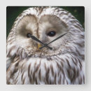 Zoek naar cute animals klokken Wild