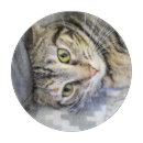 Recherche de chat gris planches à découper Félin