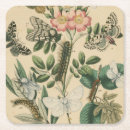 Recherche de insecte dessous de verres Chenilles