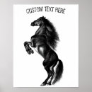 Recherche de chevaux sauvages posters Cheval