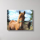 Recherche de chevaux impressions sur toile Ferme