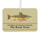 Recherche de fly fishing Fisherman