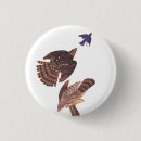 Zoek naar roofvogels buttons Valk