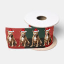 Recherche de pitbulls rubans Bulle