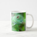 Recherche de lézard vert tasses Reptile