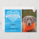 Recherche de chien domestique invitations Pour animaux
