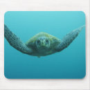 Zoek naar schildpad muismatten Tropisch