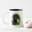 Recherche de ape tasses Primate
