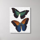 Recherche de mouche impressions sur toile Papillon